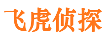 城步侦探调查公司